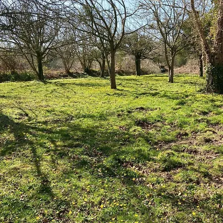 Comfortable In A Wooded Area