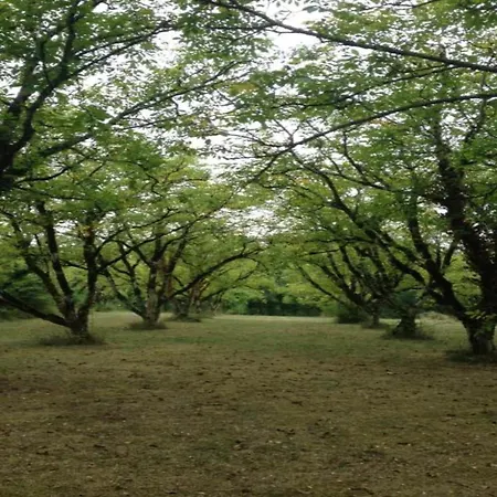 Comfortable In A Wooded Area 別荘